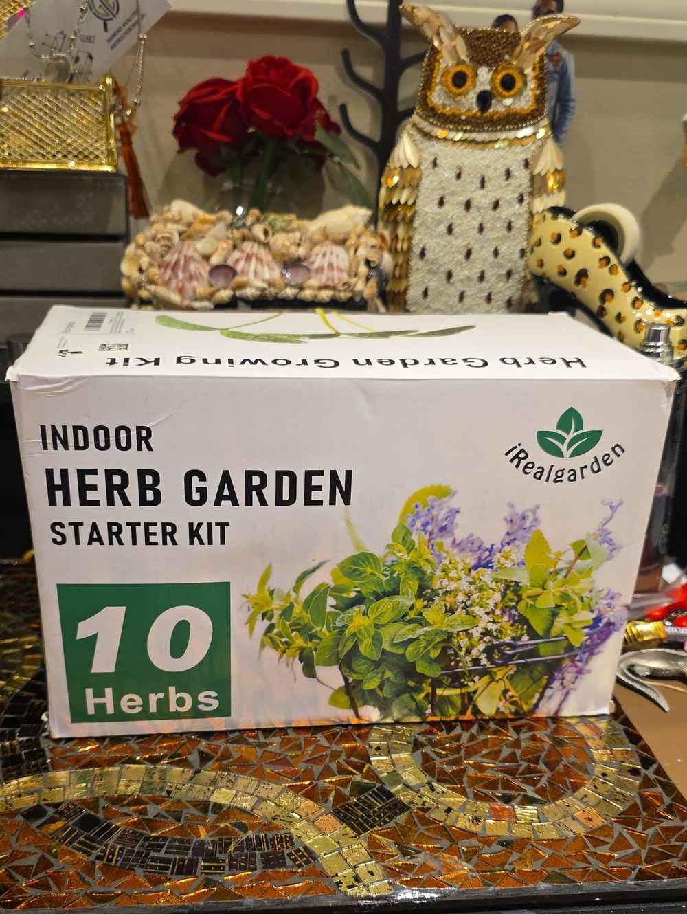 iRealGarden Indoor Herb Garden Starter Kit - Green & Purple